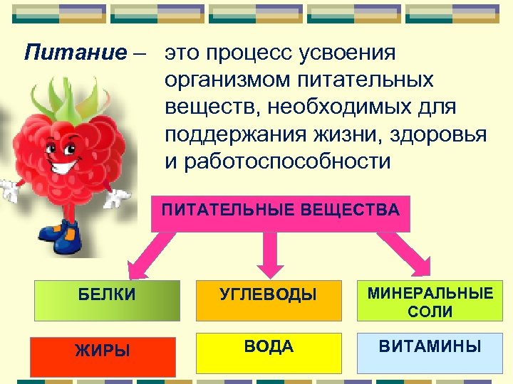 Питание – это процесс усвоения организмом питательных веществ, необходимых для поддержания жизни, здоровья и