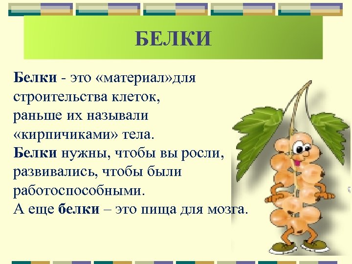 БЕЛКИ Белки - это «материал» для строительства клеток, раньше их называли «кирпичиками» тела. Белки