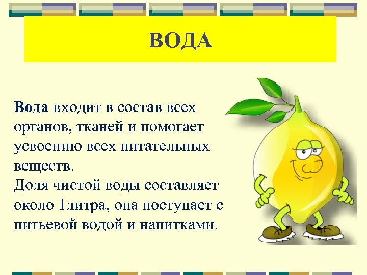 ВОДА Вода входит в состав всех органов, тканей и помогает усвоению всех питательных веществ.
