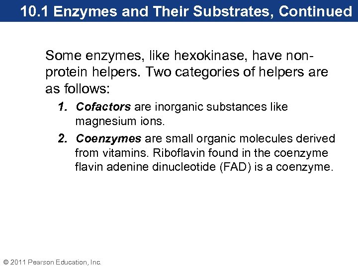 10. 1 Enzymes and Their Substrates, Continued Some enzymes, like hexokinase, have nonprotein helpers.