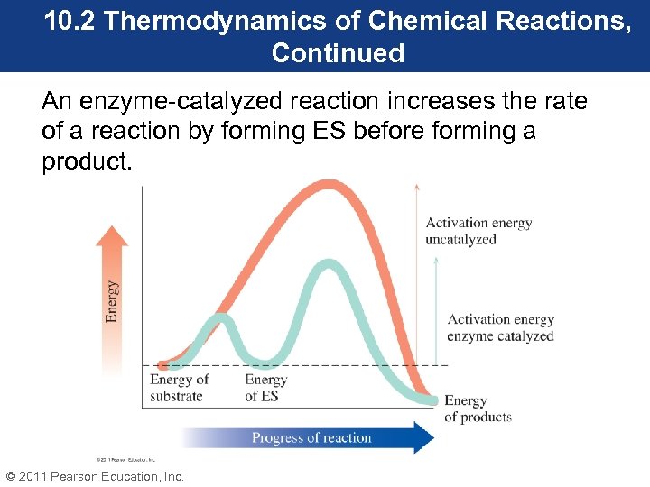 10. 2 Thermodynamics of Chemical Reactions, Continued An enzyme-catalyzed reaction increases the rate of