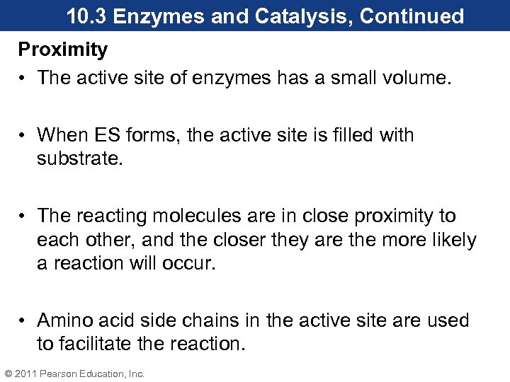 10. 3 Enzymes and Catalysis, Continued Proximity • The active site of enzymes has