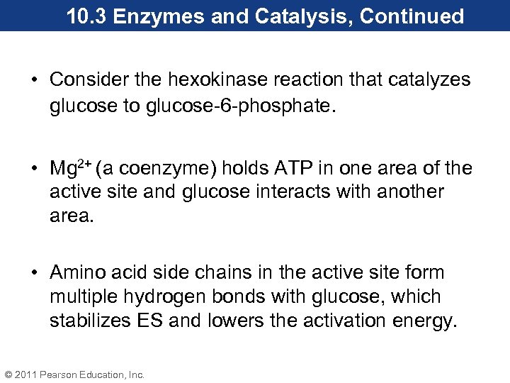 10. 3 Enzymes and Catalysis, Continued • Consider the hexokinase reaction that catalyzes glucose