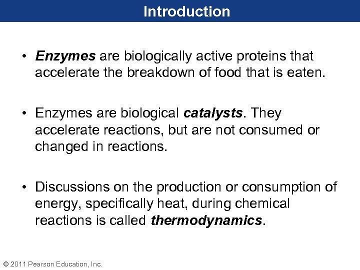 Introduction • Enzymes are biologically active proteins that accelerate the breakdown of food that