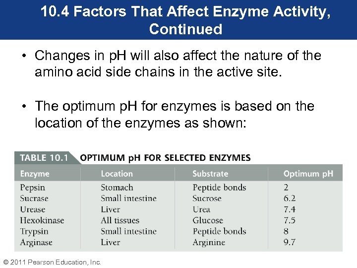 10. 4 Factors That Affect Enzyme Activity, Continued • Changes in p. H will