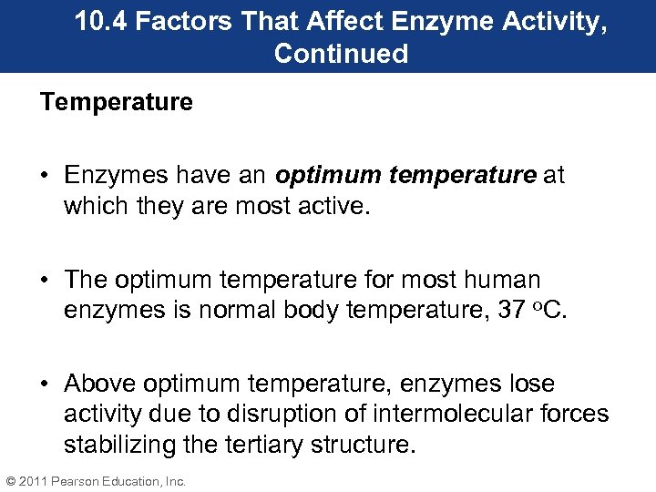 10. 4 Factors That Affect Enzyme Activity, Continued Temperature • Enzymes have an optimum