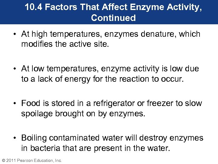 10. 4 Factors That Affect Enzyme Activity, Continued • At high temperatures, enzymes denature,