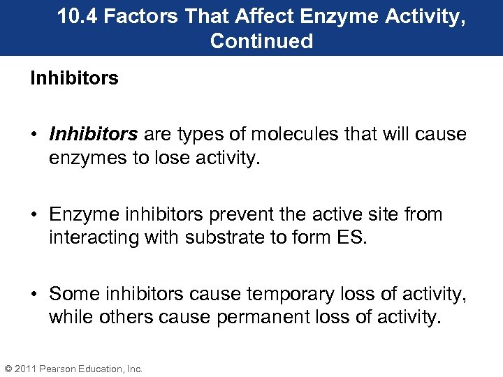 10. 4 Factors That Affect Enzyme Activity, Continued Inhibitors • Inhibitors are types of