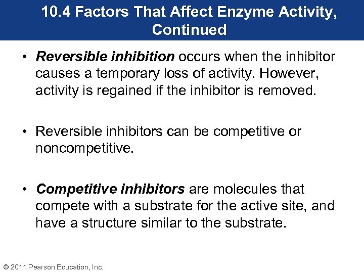 10. 4 Factors That Affect Enzyme Activity, Continued • Reversible inhibition occurs when the