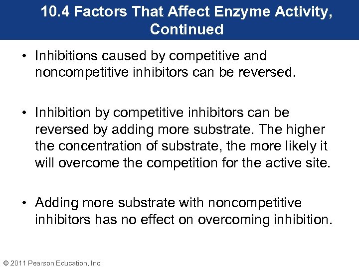 10. 4 Factors That Affect Enzyme Activity, Continued • Inhibitions caused by competitive and