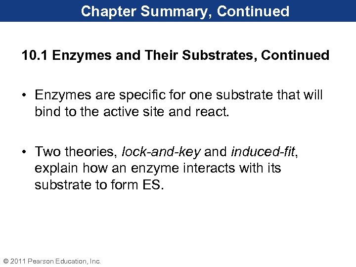 Chapter Summary, Continued 10. 1 Enzymes and Their Substrates, Continued • Enzymes are specific