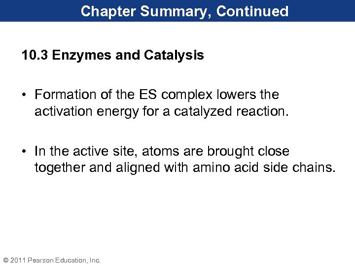 Chapter Summary, Continued 10. 3 Enzymes and Catalysis • Formation of the ES complex