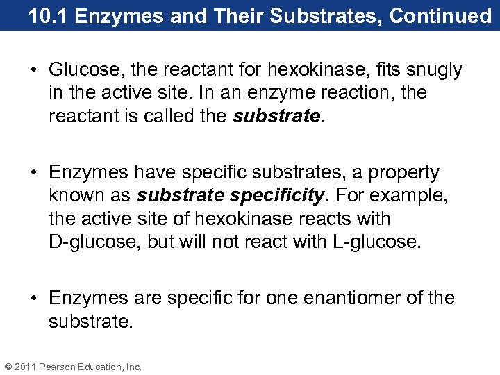 10. 1 Enzymes and Their Substrates, Continued • Glucose, the reactant for hexokinase, fits