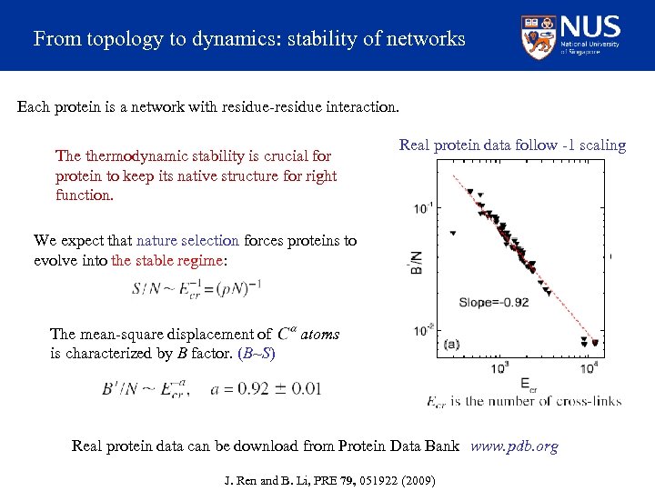From topology to dynamics: stability of networks Each protein is a network with residue-residue