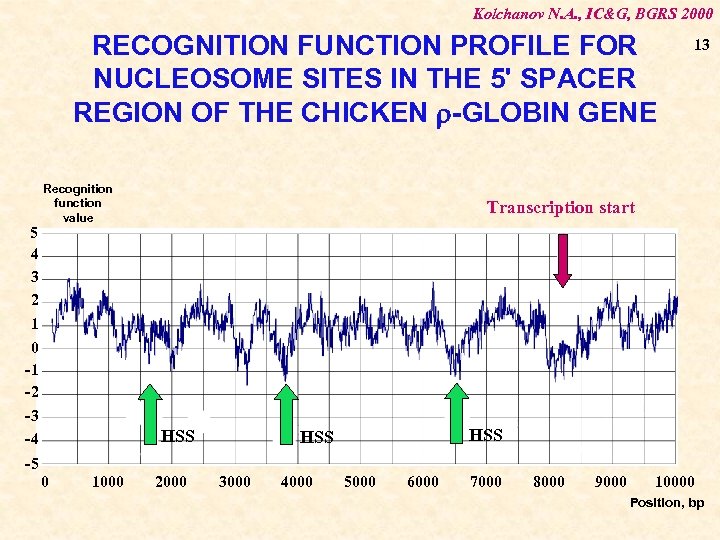 Kolchanov N. A. , IC&G, BGRS 2000 RECOGNITION FUNCTION PROFILE FOR NUCLEOSOME SITES IN