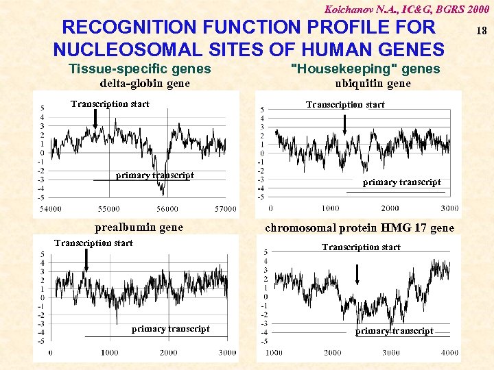 Kolchanov N. A. , IC&G, BGRS 2000 RECOGNITION FUNCTION PROFILE FOR NUCLEOSOMAL SITES OF