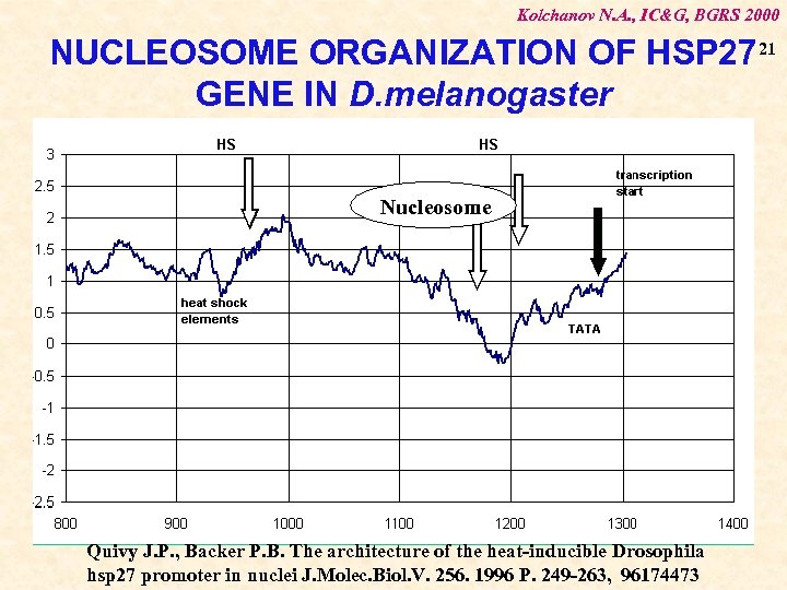 Kolchanov N. A. , IC&G, BGRS 2000 NUCLEOSOME ORGANIZATION OF HSP 27 21 GENE