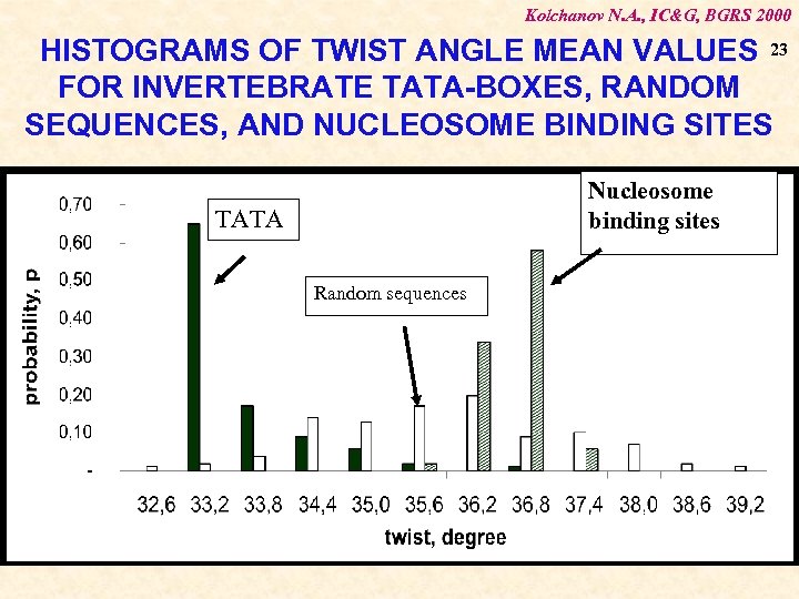 Kolchanov N. A. , IC&G, BGRS 2000 HISTOGRAMS OF TWIST ANGLE MEAN VALUES 23