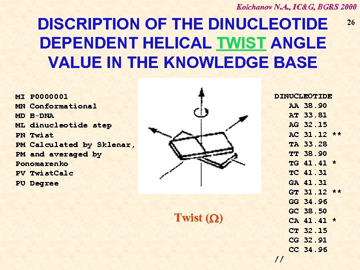 Kolchanov N. A. , IC&G, BGRS 2000 DISCRIPTION OF THE DINUCLEOTIDE DEPENDENT HELICAL TWIST