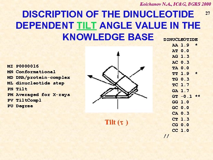 Kolchanov N. A. , IC&G, BGRS 2000 DISCRIPTION OF THE DINUCLEOTIDE DEPENDENT TILT ANGLE