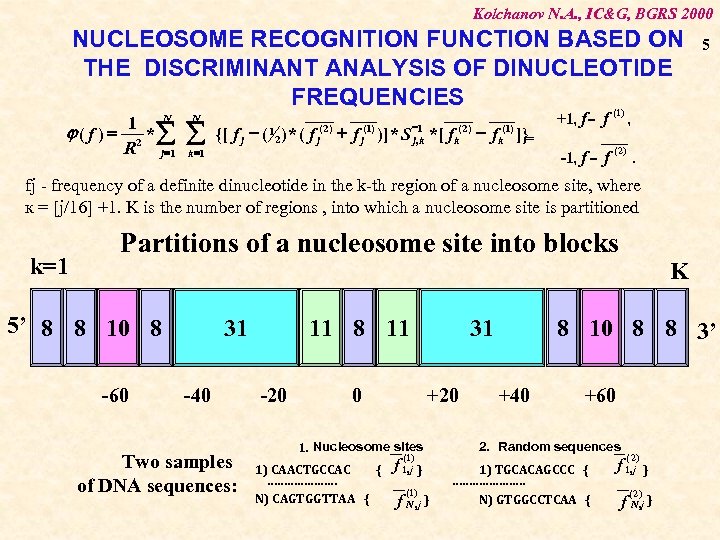 Kolchanov N. A. , IC&G, BGRS 2000 NUCLEOSOME RECOGNITION FUNCTION BASED ON THE DISCRIMINANT