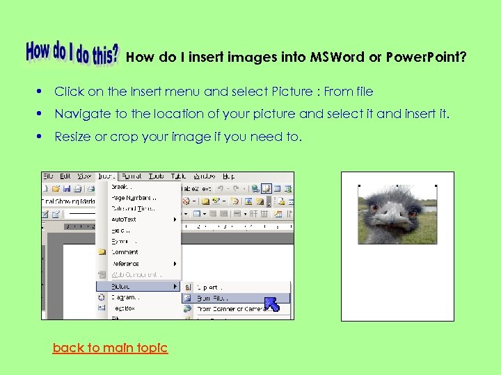 How do I insert images into MSWord or Power. Point? • Click on the