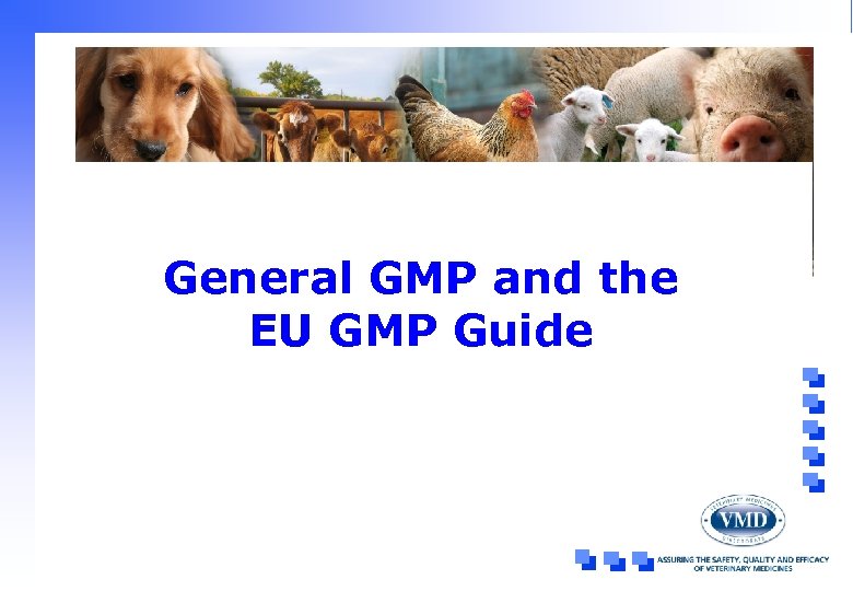 General GMP and the EU GMP Guide 