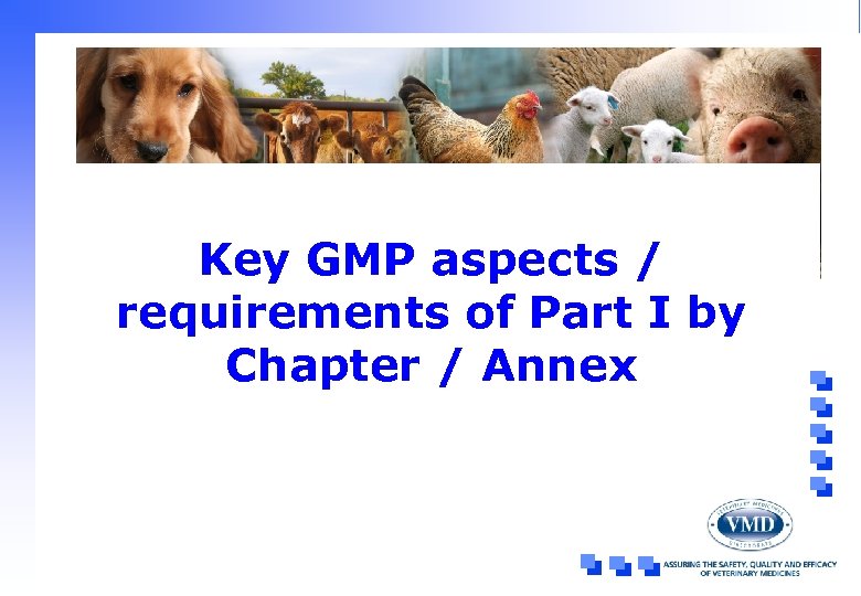 Key GMP aspects / requirements of Part I by Chapter / Annex 
