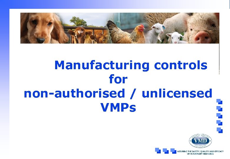 Manufacturing controls for non-authorised / unlicensed VMPs 