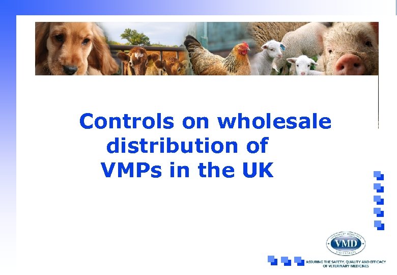 Controls on wholesale distribution of VMPs in the UK 