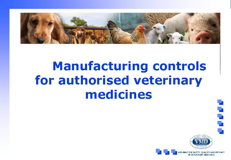 Manufacturing controls for authorised veterinary medicines 
