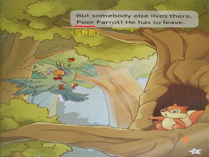 —— （可怜的） 