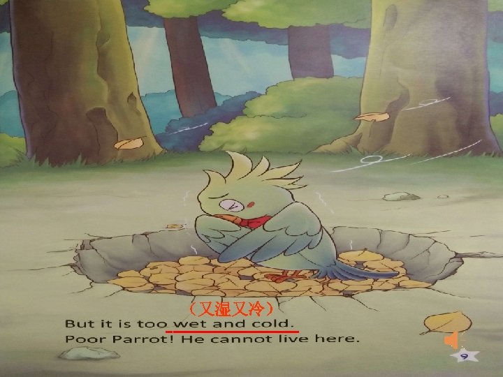 （又湿又冷） -————— 