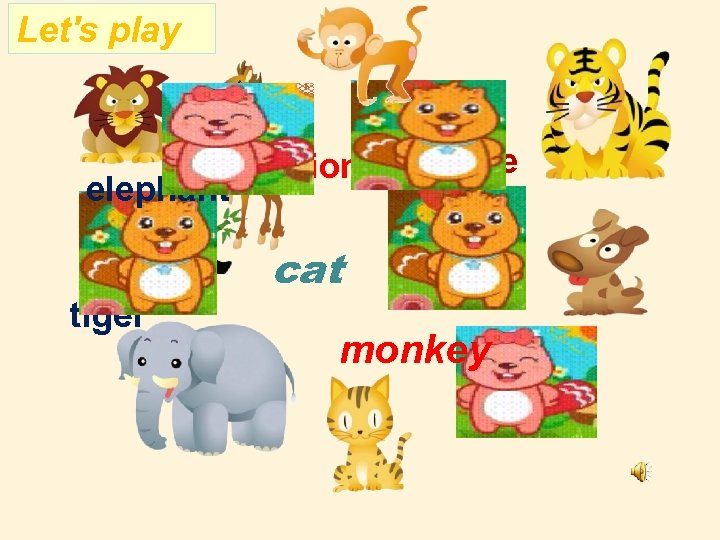 Let's play lion dog elephant tiger horse cat monkey 