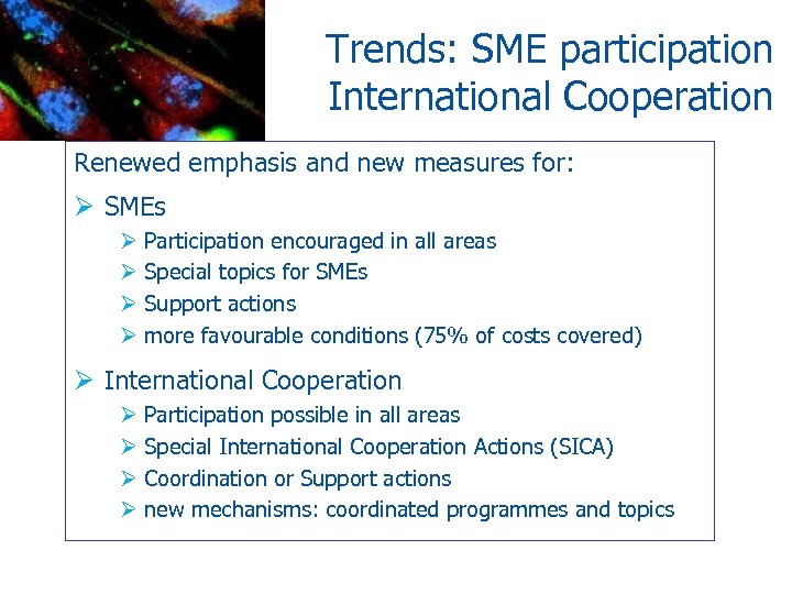 Trends: SME participation International Cooperation Renewed emphasis and new measures for: Ø SMEs Ø