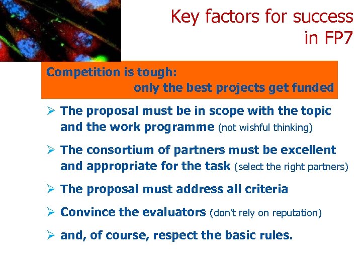 Key factors for success in FP 7 Competition is tough: only the best projects