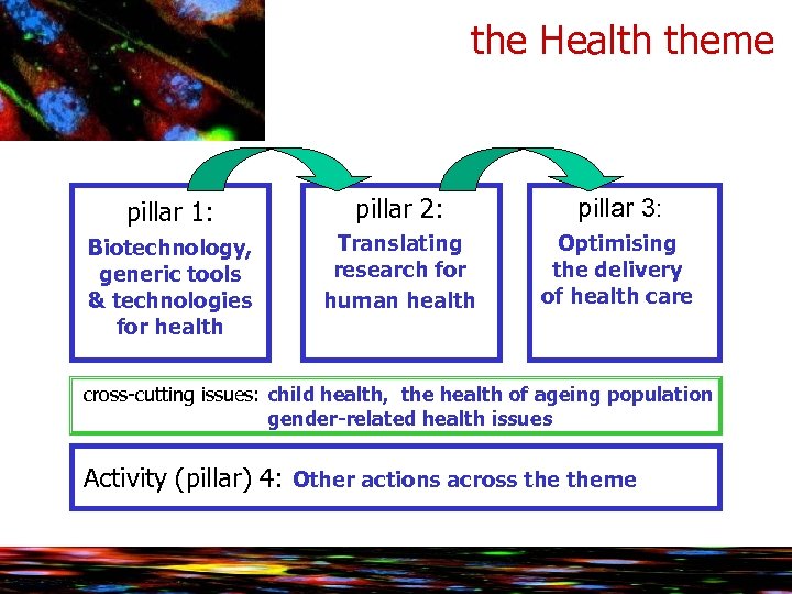 the Health theme pillar 1: pillar 2: pillar 3: Biotechnology, generic tools & technologies