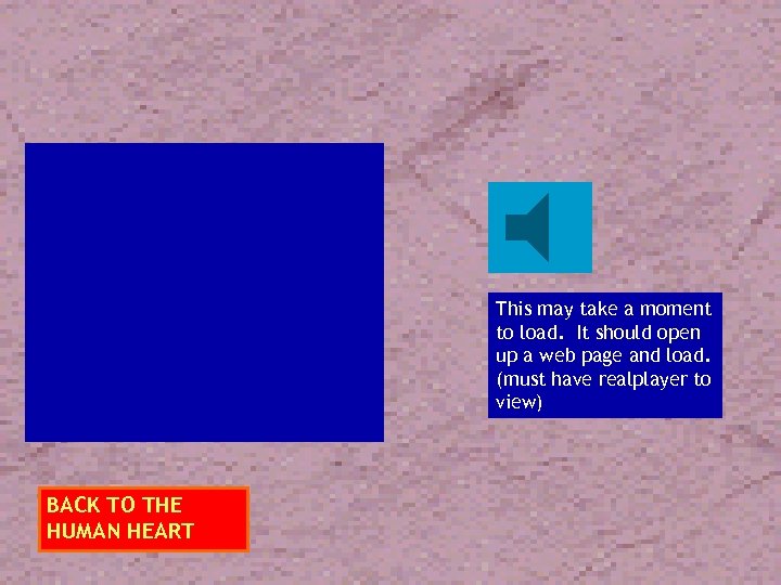 This may take a moment to load. It should open up a web page