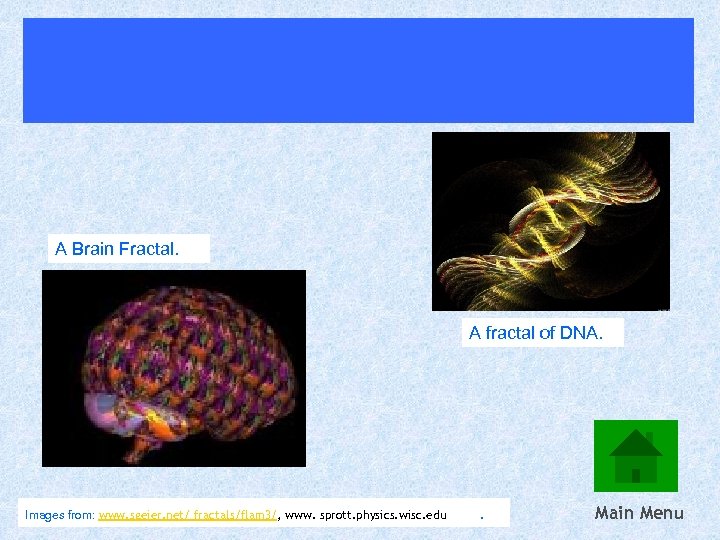 A Brain Fractal. A fractal of DNA. Images from: www. sgeier. net/ fractals/flam 3/,