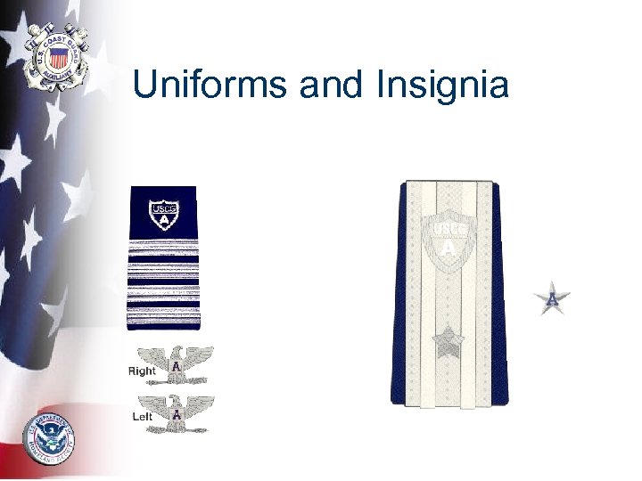 Uniforms and Insignia 