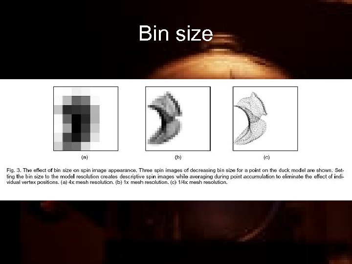 Bin size 