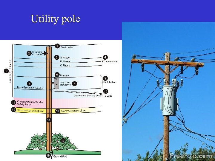 Utility pole 