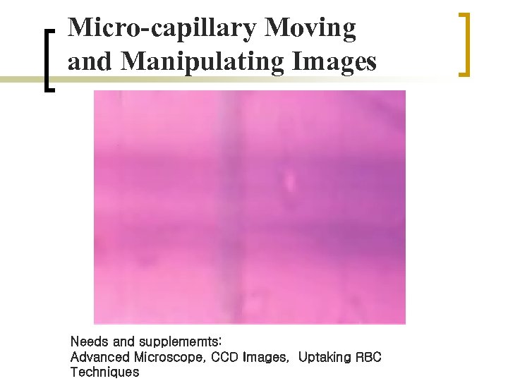 Micro-capillary Moving and Manipulating Images Needs and supplememts: Advanced Microscope, CCD Images, Uptaking RBC