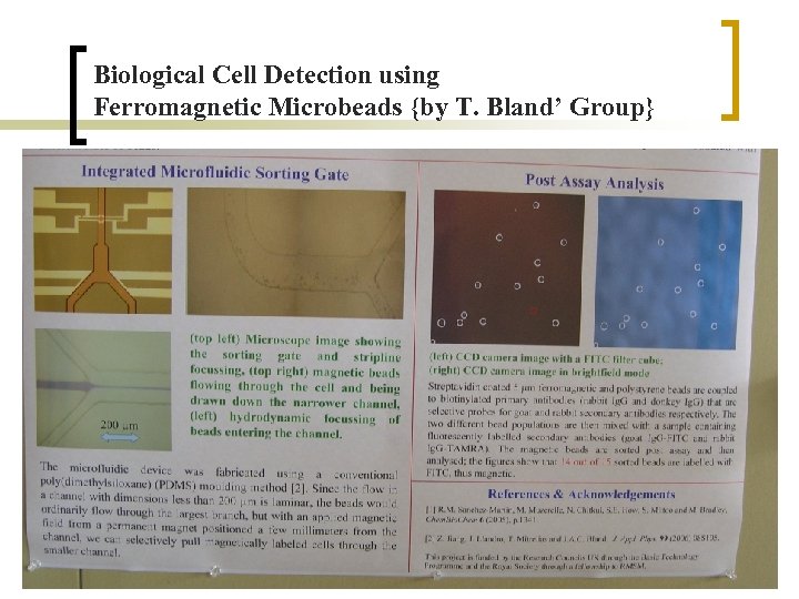 Biological Cell Detection using Ferromagnetic Microbeads {by T. Bland’ Group} 