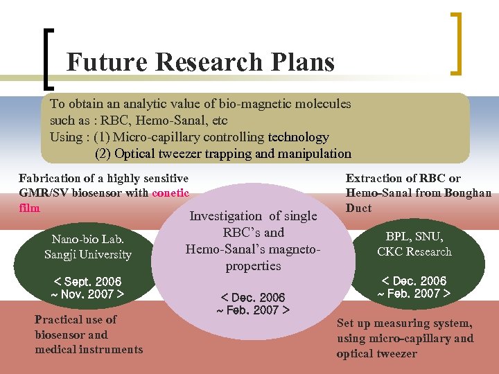 Future Research Plans To obtain an analytic value of bio-magnetic molecules such as :