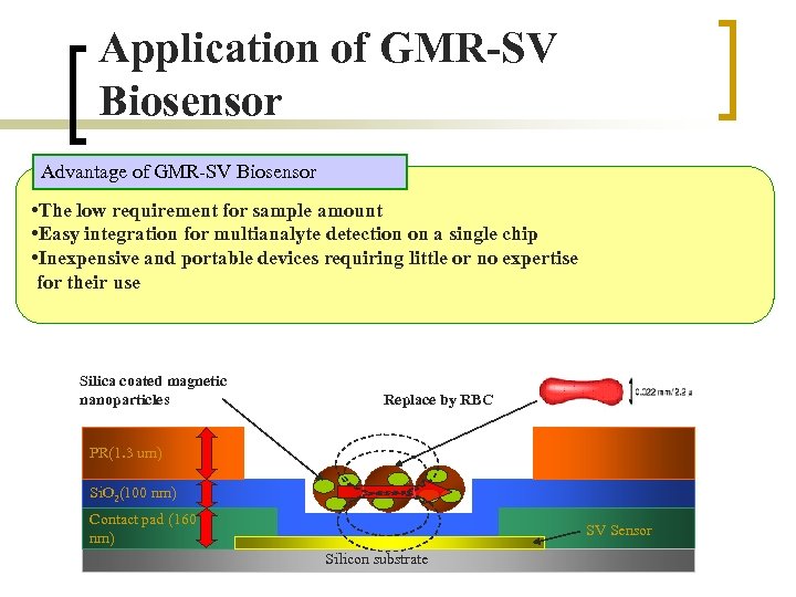 Application of GMR-SV Biosensor Advantage of GMR-SV Biosensor • The low requirement for sample