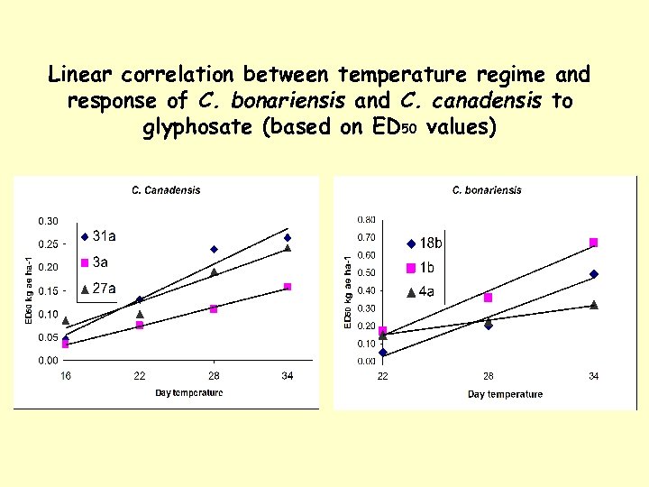 Linear correlation between temperature regime and response of C. bonariensis and C. canadensis to