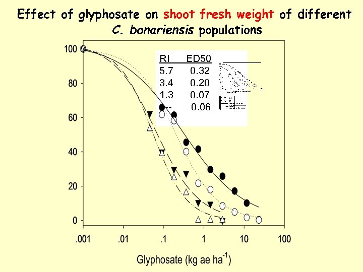 Effect of glyphosate on shoot fresh weight of different C. bonariensis populations RI 5.