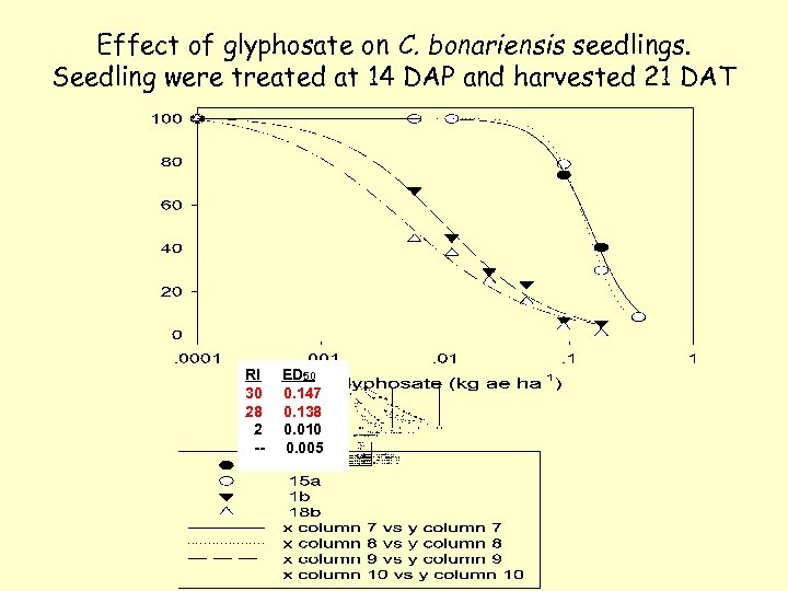 Effect of glyphosate on C. bonariensis seedlings. Seedling were treated at 14 DAP and