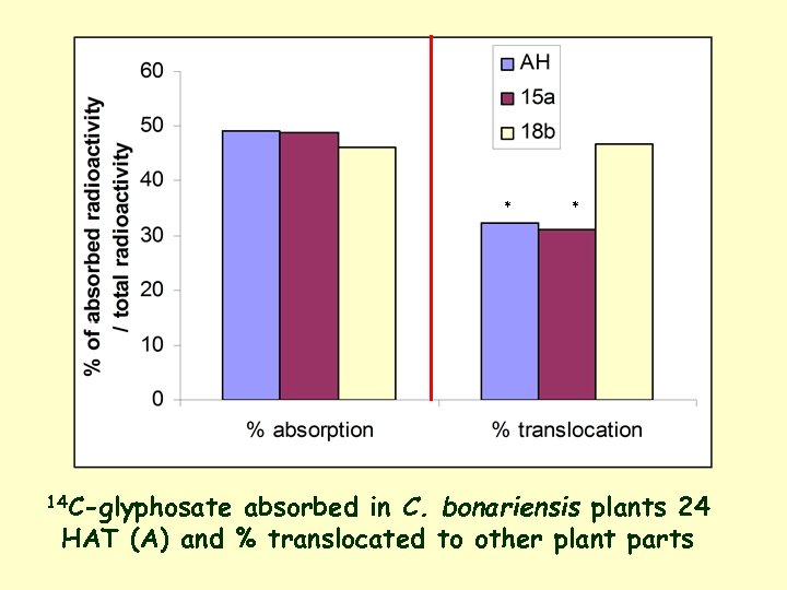 * 14 C-glyphosate * absorbed in C. bonariensis plants 24 HAT (A) and %